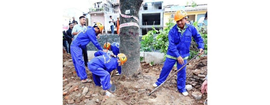 MAY QUẦN ÁO BẢO HỘ LAO ĐỘNG CHO CÔNG NHÂN CÂY XANH