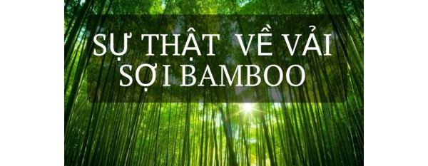 Vải Bamboo Là Gì? Ứng Dụng Của Vải Bamboo Trong Đời Sống